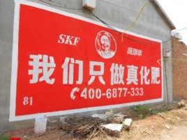 都安刷墙广告”蕴含了时代命题