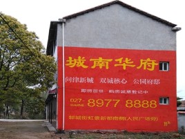 都安百分之90的人都不了解的农村墙体广告