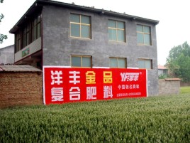 都安如何让墙体广告展现最大化效果