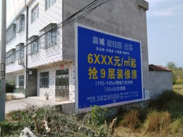 都安墙体广告质量分析