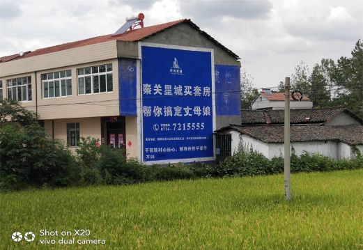 都安决定墙体广告价格的因素有哪些?