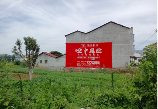 都安做墙体广告的意义
