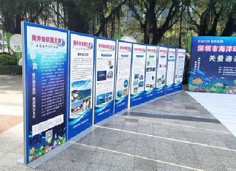 都安KT板的种类和知识。